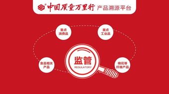 筑牢发展基石 聚焦四大重点领域，强化产品质量安全监管与节能管理服务